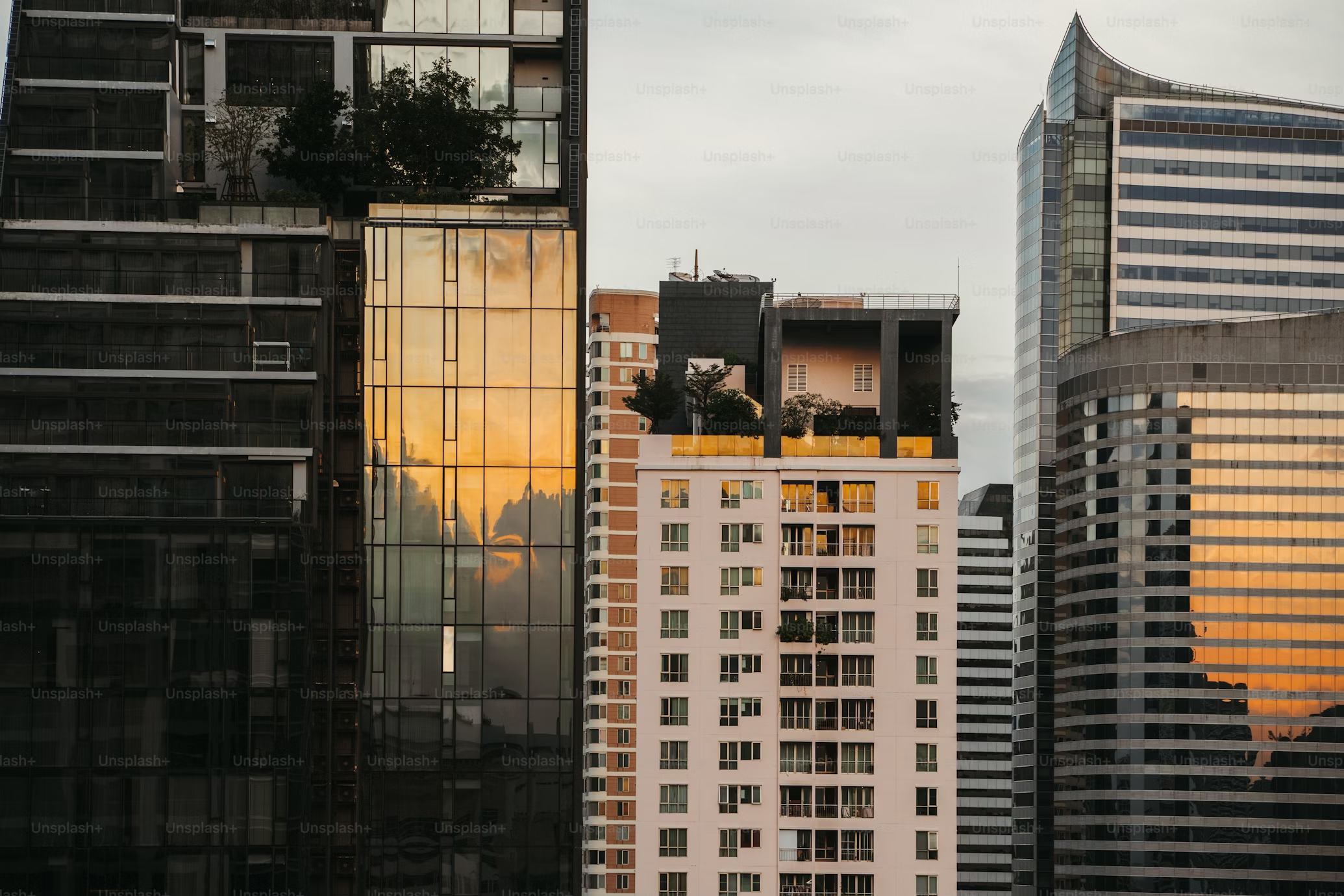 Blog Banner
